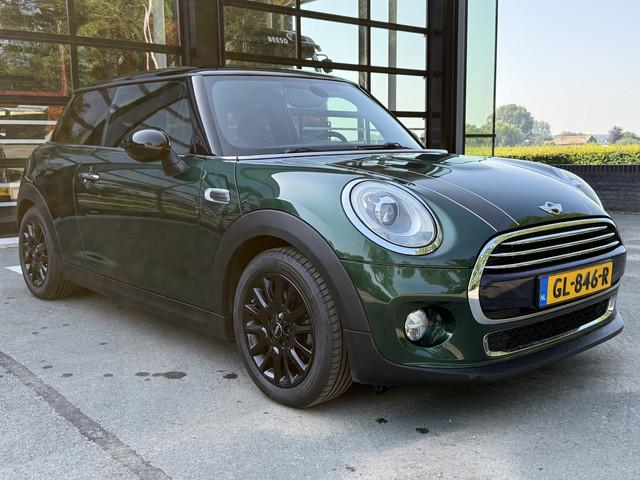 Mini Mini