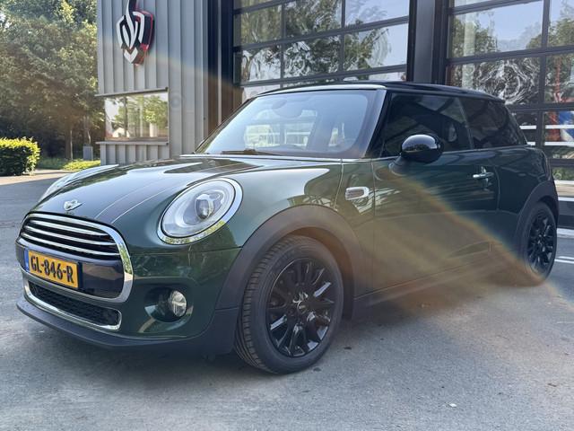 Mini Mini