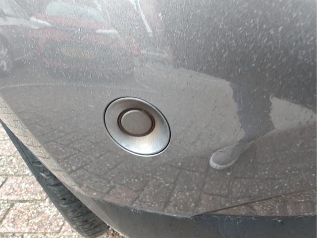 Renault Scénic