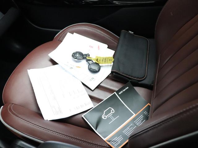 Mini Paceman
