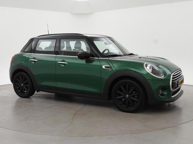 Mini Mini