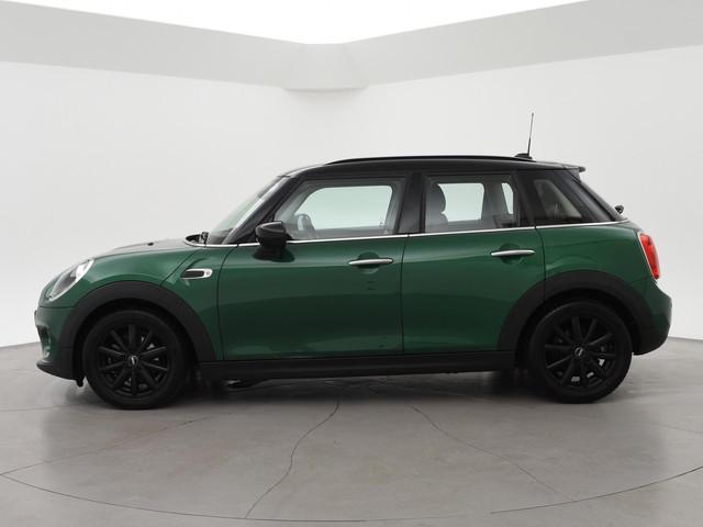 Mini Mini