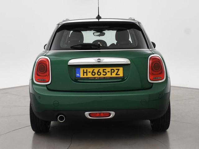 Mini Mini