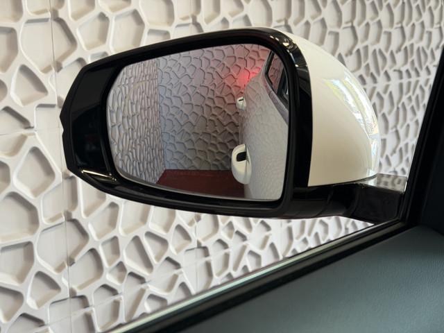 Geely Starray EM-i