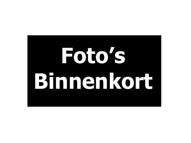 Fiat 500 2014 Elektrisch