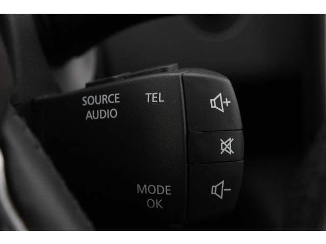 Renault Grand Scénic