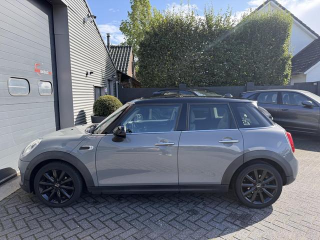Mini Mini