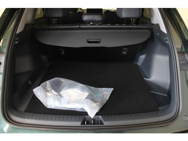 Geely Starray EM-i