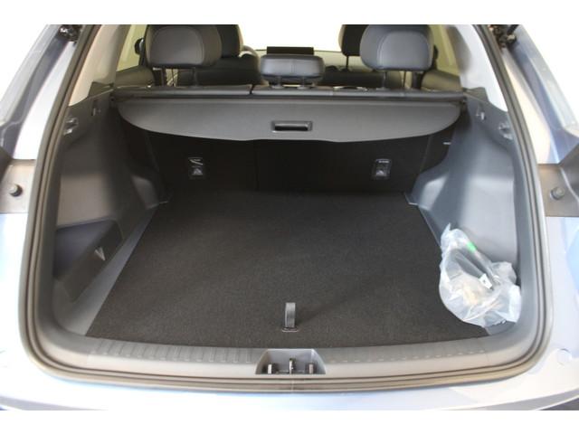 Geely Starray EM-i