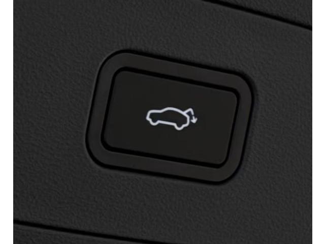 Geely Starray EM-i