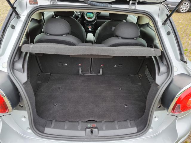 Mini Paceman