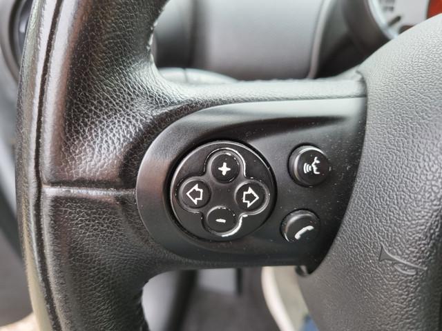 Mini Paceman