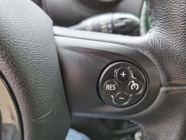 Mini Paceman