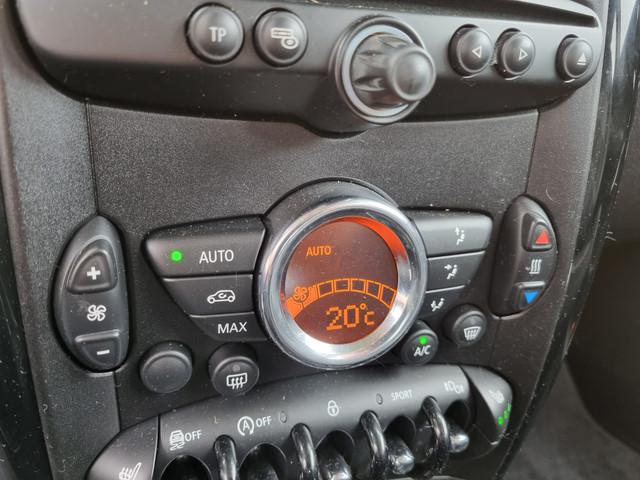 Mini Paceman