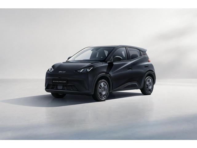 BYD DOLPHIN SURF