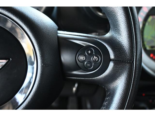 Mini Paceman