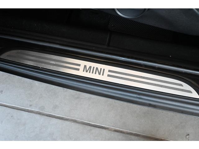 Mini Paceman