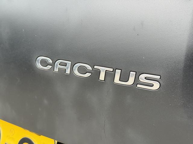 Citroën C4 Cactus