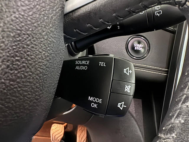 Renault Grand Scénic