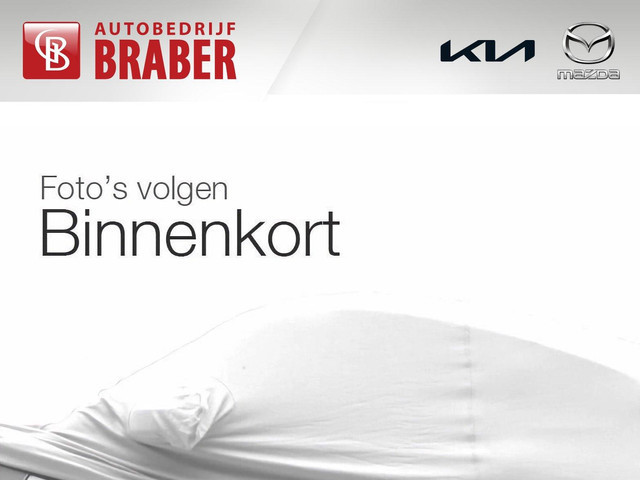 Kia Niro 2021 Elektrisch