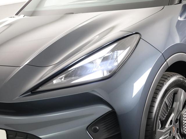 Cupra Raval