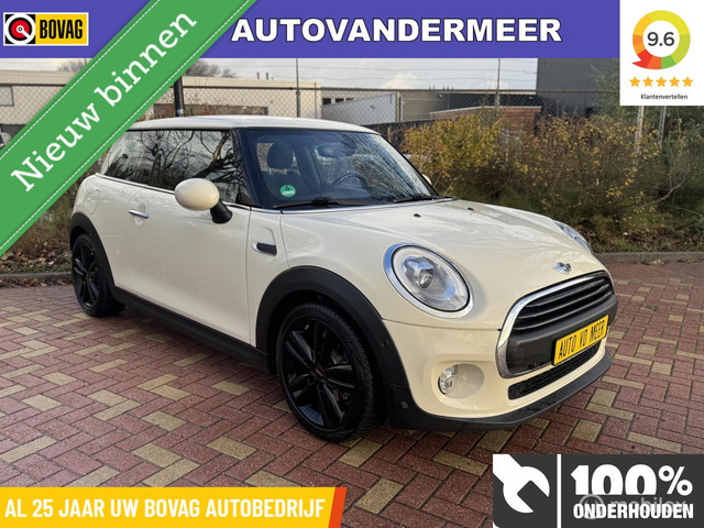 Mini Mini 2022 Benzine
