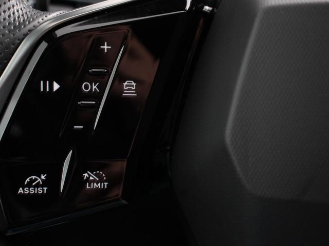 Peugeot E-3008