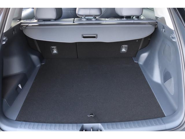Geely Starray EM-i