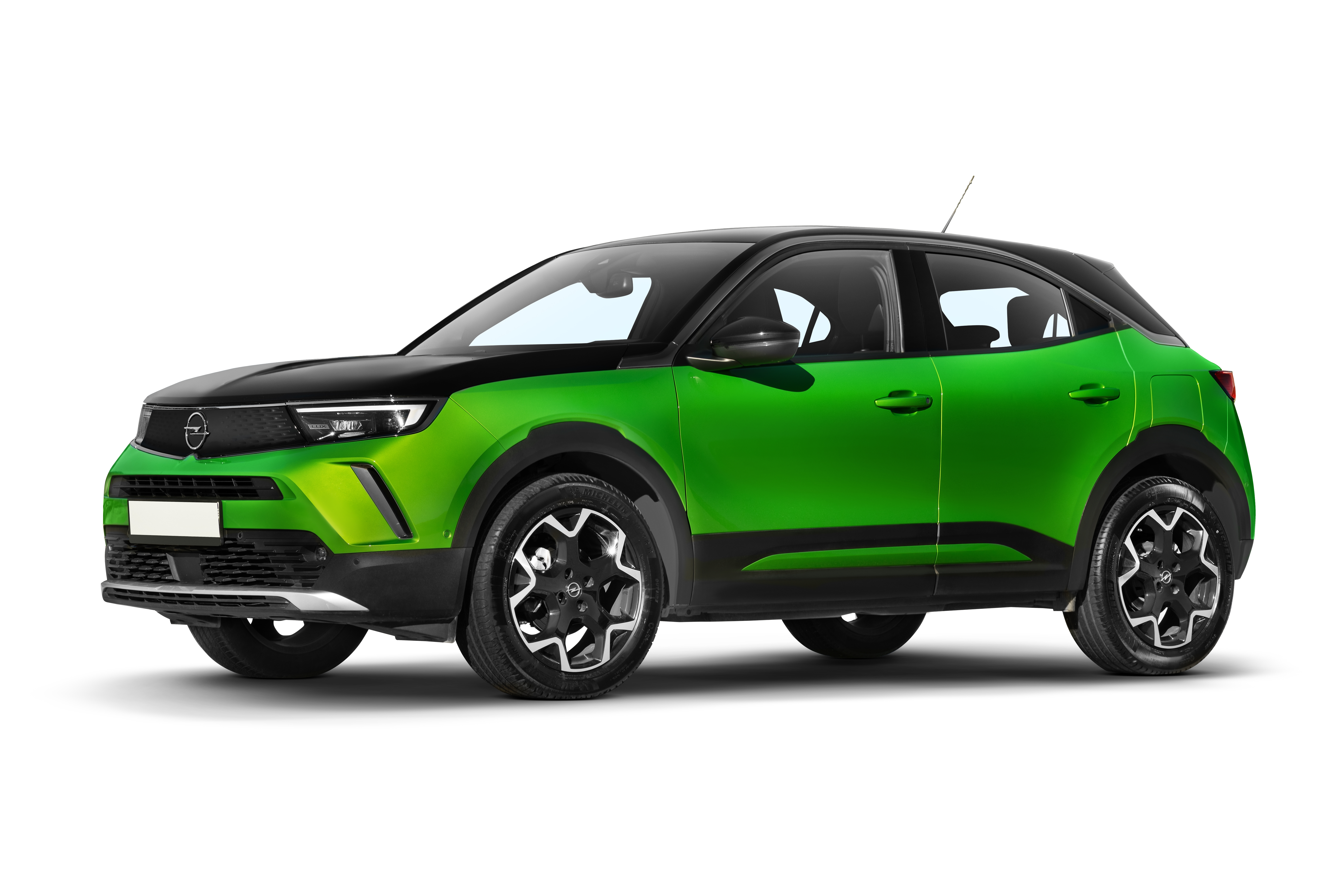 shutterstock-2425110527