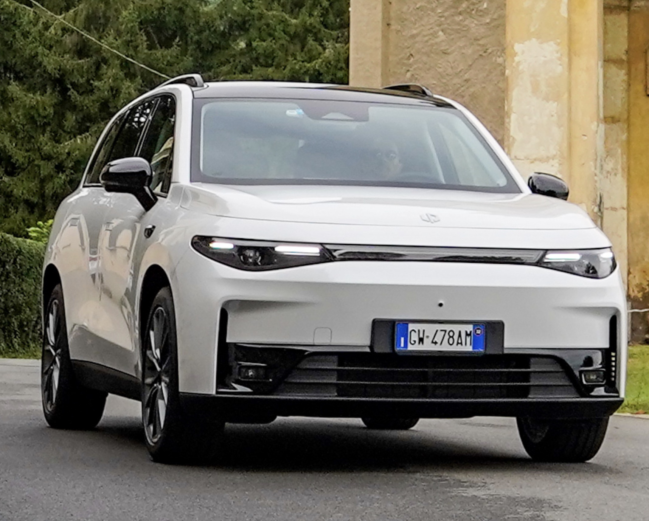 leapmotor-goede-keuze2459